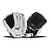 Mizuno Franchise 13" Fastpitch Softball Glove - GFN1301F4